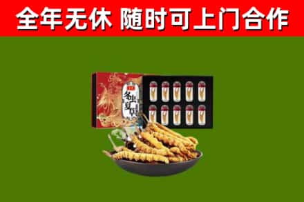 蠡县回收冬虫夏草价格