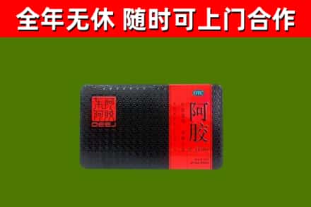 蠡县回收阿胶