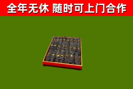 蠡县回收海参